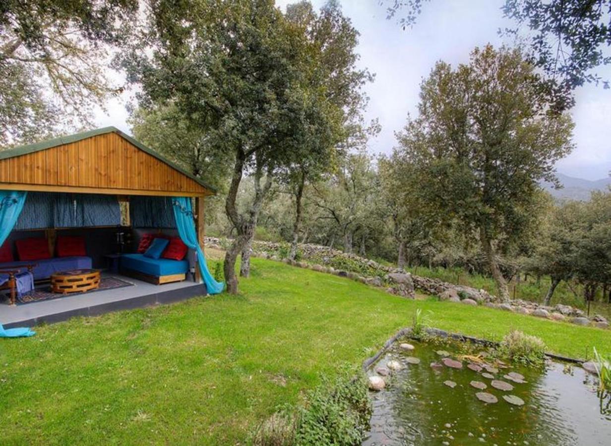 Studio Confortable Avec Vue Sur La Montagne A Moltifao 30M² Jardin Bagian luar foto
