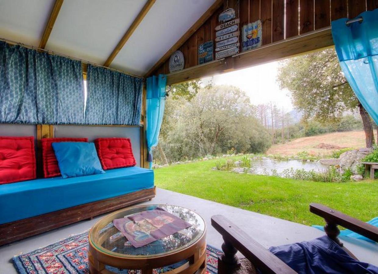 Studio Confortable Avec Vue Sur La Montagne A Moltifao 30M² Jardin Bagian luar foto