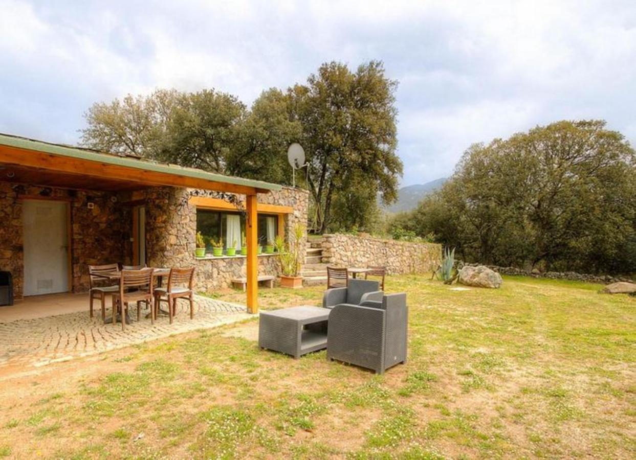 Studio Confortable Avec Vue Sur La Montagne A Moltifao 30M² Jardin Bagian luar foto